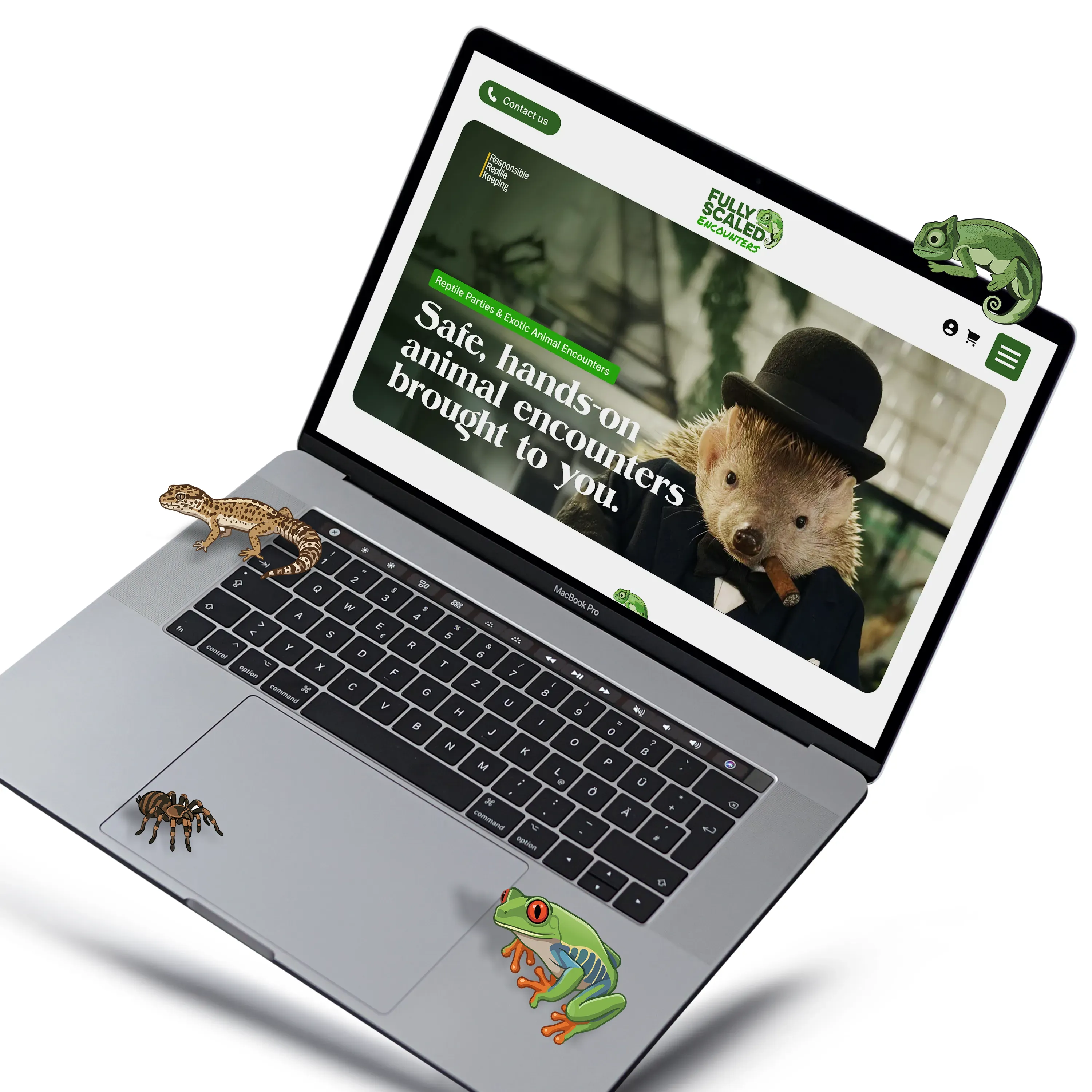 Brand Identity & Web Build